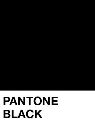 Pantone Black Pantone Black Shades, Pantone Black Palette, Pantone Noir, Black Color Swatch, Black Pantone, Pantone Black, Black Palette, Pantone Palette, Pantone Colour Palettes