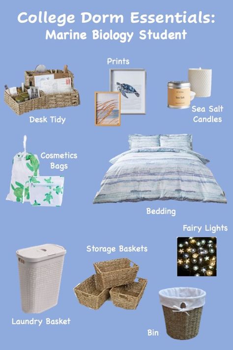 College Dorm Essentials - Marine Biology Student Edition Marine Biology Themed Bedroom, Marine Biology Clothes, Marine Biologist Bedroom, Marine Biology Room Aesthetic, Marine Biology Study Notes Aesthetic, Marine Biology Room Decor, Marine Biology Aesthetic Hawaii, Marine Biology Bedroom, Marine Biology Student