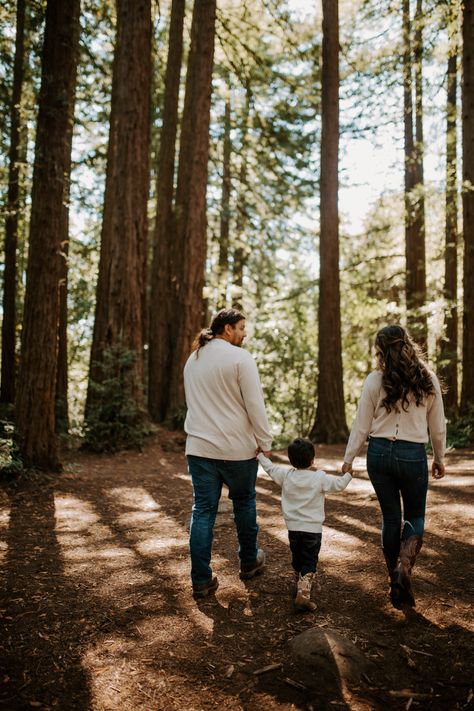 Family In The Woods, Forest Family Photoshoot, 19th Bday, The Redwoods, Family Holiday Photos, Family Of Three, Redwood Forest, Family Outdoor, Outdoor Wood