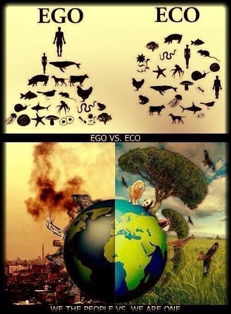 Save Our Earth, Meaningful Pictures, Rainwater Harvesting, Save Earth, Nature Quotes, Environmental Art, Save The Planet, Earth Day, So True