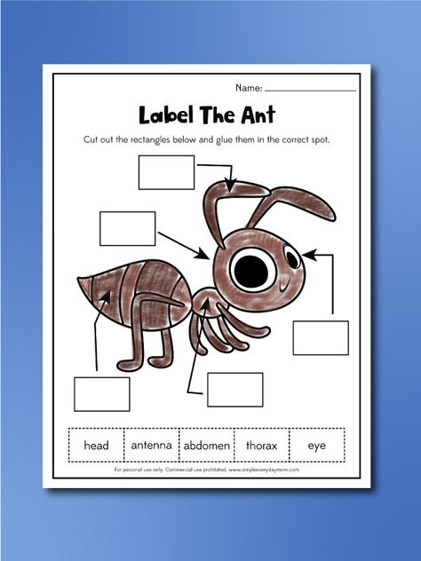 Ant Worksheets For Kids [Free Printables] Ant Crafts For Kids, Ant Activity For Kids, Ant Kindergarten, Parts Of An Ant Preschool, Ant Worksheet, Ant Worksheet Free Printable, Ant Anatomy, A Is For Ant, Ant Unit Study