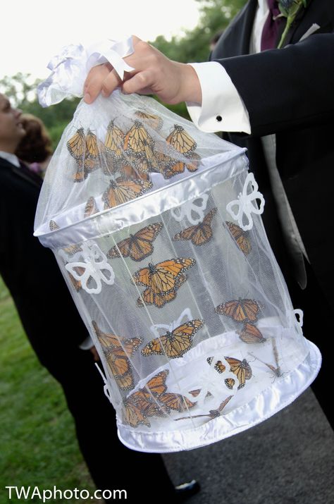 Butterflies to release at the ceremony can be a great way to involve children or a blended family. #weddings. Butterfly Release Wedding, Butterfly Release, Butterfly Wedding Theme, Weddings By Color, Butterfly Wedding, Blended Family, Future Wedding Plans, Butterfly Decorations, Wedding Gift Favors