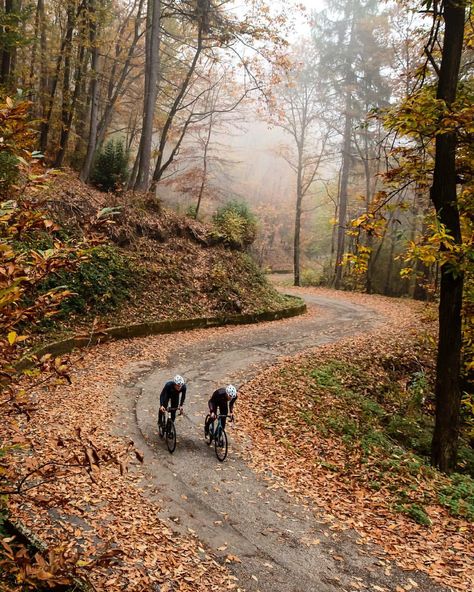 Winter is coming! Get ready. #lovemywilier #wintercycling #cycling #ciclismo #roadbike photo: @alexluise Autumn Cycling, Bike Riding Benefits, Biking Benefits, Cycling Photography, Road Bike Women, Mountain Bike Shoes, Winter Cycling, Cycling Photos, Bike Rides