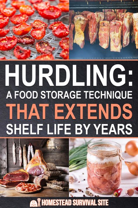 How To Preserve Food, Food Preservation And Storage, Storing Food Long Term, Survival Food Storage, Prepping Ideas, Emergency Preparedness Food, Preserving Foods, Home Canning Recipes, Canning Food Preservation