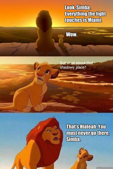 Lion King Hialeah Meme Simba Lion King, Go Gamecocks, Simba Lion, مرسيدس بنز, Band Jokes, Band Nerd, Band Geek, Band Humor, Comic Manga