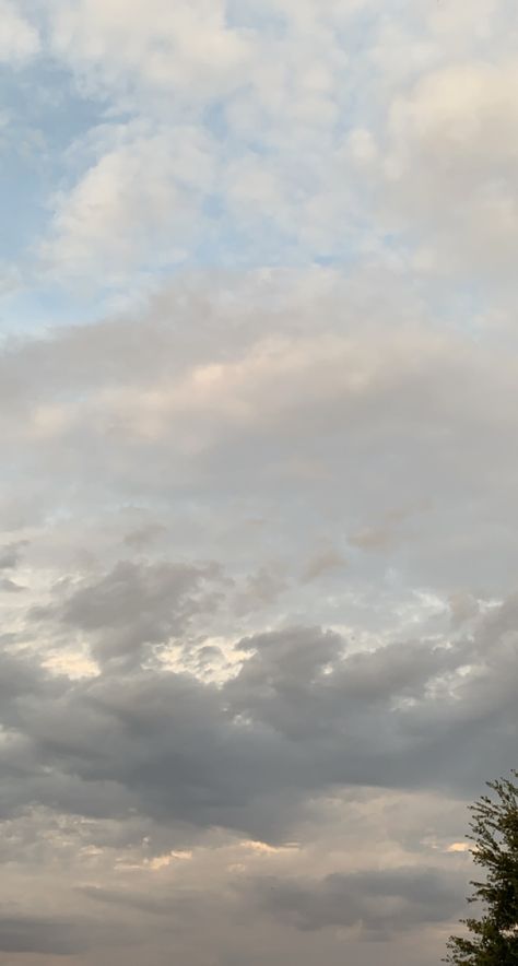 White Hour Sky, Soft Sky Aesthetic, Cloudy Sky Snap, Gray Sky Aesthetic, Skies Aesthetic Wallpaper, Grey Sky Aesthetic, Aesthetic Tree Wallpaper, Grey Sky Wallpaper, Pic For Story