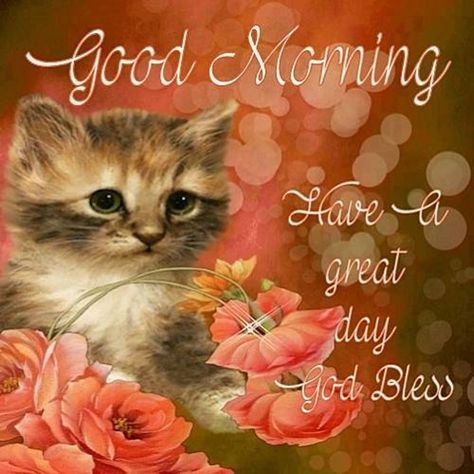 Cute Kitty Blessed Good Morning Image Hello Kitty Good Morning, Good Morning Cat, Good Morning Image, Morning Cat, Morning Pics, Good Morning My Love, Cute Good Morning Quotes, Good Morning Image Quotes, Happy Morning