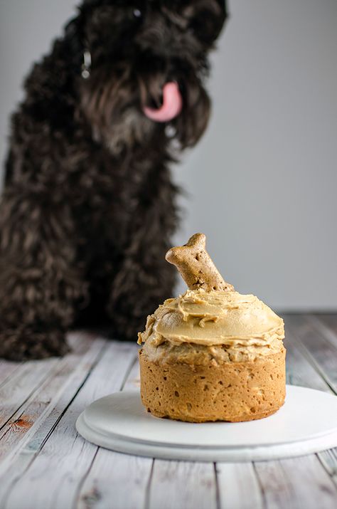 Recipe With Peanut Butter, Pupcake Recipe, Dog Birthday Cake Recipe, Dog Cake Recipes, Spring Form, Dog Biscuit Recipes, Apple And Peanut Butter, Puppy Cake, Peanut Recipes