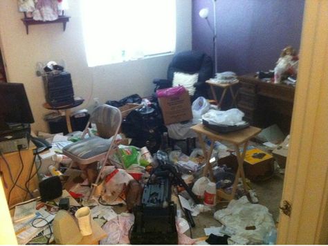 Hoarding clean-up before & after pics by AZ Removal and Junk Recovery. Cleaning Pics, Before After Cleaning, Diy Pest Control, Types Of Insects, Flea Prevention, Bug Control, Pest Management, Insect Control, Pest Control Services