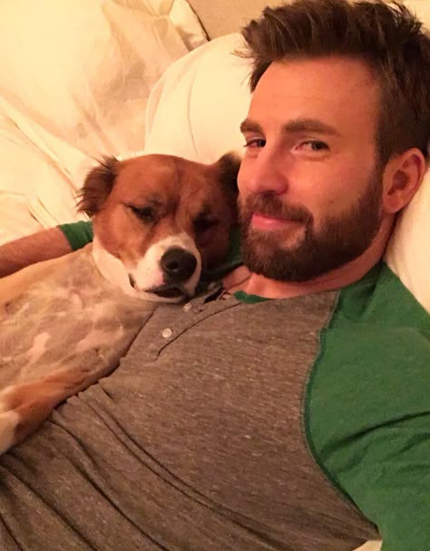 Chris Evans on Twitter: "Happy #InternationalDogDay… " Avengers Black Widow, Christopher Robert Evans, International Dog Day, Christopher Evans, Robert Evans, Chris Evans Captain America, Chris Pine, Man Thing Marvel, Daniel Radcliffe