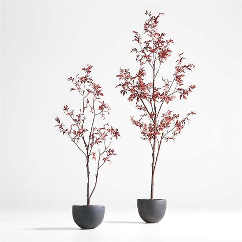 Potted Faux Maple Tree 5' + Reviews | Crate and Barrel Artificial Potted Plants, Artificial Flowers And Plants, Faux Tree, Feather Tree, Maple Tree, Faux Plants, Office Interior Design, Green Design, Minimalist Living Room