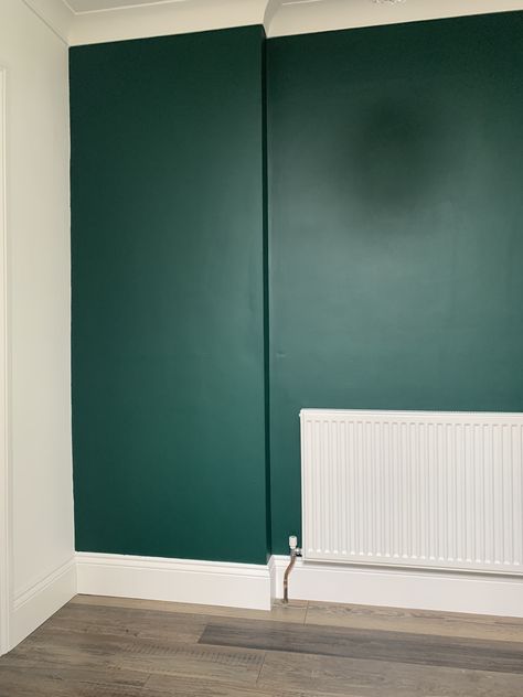 This is a Dulux paint and I absolutely love the colour. Dulux Everglade Forest Green, Emerald Glade Dulux Paint, Dulux Emerald Glade, Dulux Green Paint Colours, Dulux Green Paint, Dulux Colour Schemes, Wall Paint Inspiration, Green Home Offices, Dulux Paint Colours