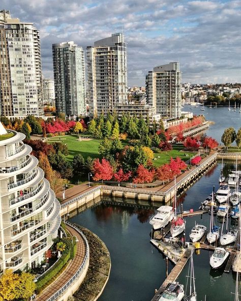 VANCOUVER 🇨🇦 on Instagram: “The colours of our city! 🧡💚⁠ Photo: @calledesign” Vancouver Canada Aesthetic, Vancouver Aesthetic, Canada Aesthetic, Cities Skylines, Vancouver City, Canada Photos, Traveling Abroad, Dream Vacations Destinations, Dream Places