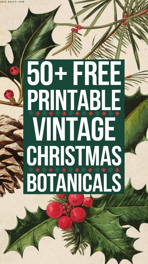 Looking for vintage Christmas botanicals to bring a timeless charm to your holiday projects? This collection of over 50 free vintage printables includes botanical art prints like berries watercolor, poinsettia tree, amaryllis Christmas, and Christmas cacti illustrations. Ideal for vintage Christmas cards, gift wrap, or home decor, these prints add elegance to any project. Download the free printables now and save this pin for future creative inspiration! Christmas Graphics Free, Christmas Prints Free, Free Christmas Printables Vintage, Christmas Amaryllis, Winter Printables Free, Christmas Botanicals, Amaryllis Christmas, Christmas Wall Prints, Botanical Printables