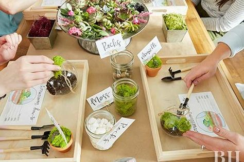 terrarium party Plant Party Activities, Plant And Sip Party, Adult Crafts For The Home, Plant Themed Party, Diy Party Activities, Terrarium Party, Succulent Bar, Terrarium Craft, Terraria Party