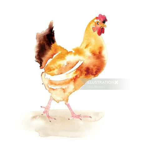 Hen And Chicks, Chicken Art, Chickens And Roosters, Hens And Chicks, Pet Chickens, Sumi E, Watercolor Bird, Childrens Art, Watercolor Animals