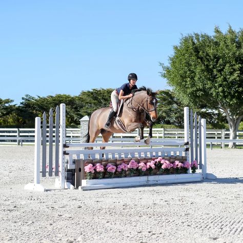 Liza Boyd's 6 Exercises to Nail Your Hunter Derby: Part 2 - Expert how-to for English Riders Hunter Jumper Jumps, Hunter Derby, Hunter Jumper Horses, Cross Country Jumps, Horse Jumps, Hunter Jumper, Horse Jumping, Horse Life, Cross Country