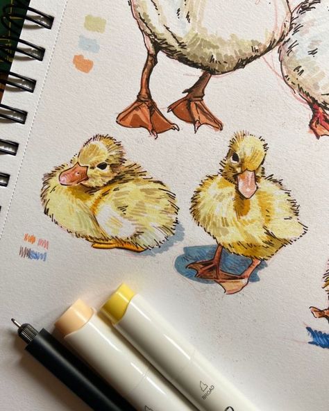 𝑱𝑨𝑪𝑲 (@j.drw) • Fotos y vídeos de Instagram Marker Art Animals, Duckling Drawing, Hatching Drawing, Colour Pencil Art, Coloured Pencil Drawings, Hatch Drawing, Watercolor Doodles, Markers Drawing Ideas, Duck Drawing