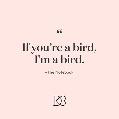 If You Are A Bird Im A Bird The Notebook, The Notebook Quotes The Best Love, If Your A Bird Im A Bird, If You’re A Bird I’m A Bird, Cute Movie Quotes Love, If You're A Bird I'm A Bird, You Make Me Feel Loved, The Notebook Quotes Aesthetic, Notebook Quotes Movie