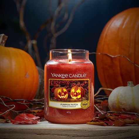 Yankee Candle Aesthetic, Pumpkin Pie Candle, Yankee Candle Halloween, Halloween Aesthetics, Yankee Candle Fall, Pumpkin Scented Candles, Yankee Candle Jars, Candle Autumn, Yankee Candle Scents