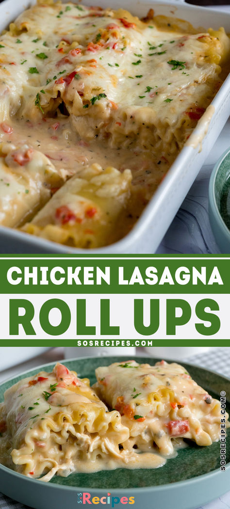 These Chicken Lasagna Roll Ups are a tasty twist on classic lasagna! Creamy, cheesy, and packed with flavorful chicken, they make the perfect comforting meal. Easy to prepare and perfect for family dinners or meal prep! #ChickenLasagna #LasagnaRollUps #EasyDinner #ComfortFood #FamilyMeals #CheesyGoodness #MealPrep #WeeknightMeals #ItalianRecipes Veggie Lasagna Roll Ups, Chicken Lasagna Roll Ups, Pasta Roma, Chicken Lasagna Rolls, Chicken Alfredo Lasagna, Lasagna Roll Ups, Lasagna Roll, Lasagna Rollups, Veggie Lasagna