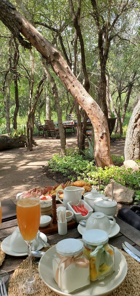 Sabi Sands South Africa, Bush Camp, Bush Lodge, Sand Game, Lodge Ideas, You're The One, Camping Spots, Kruger National Park, Game Reserve