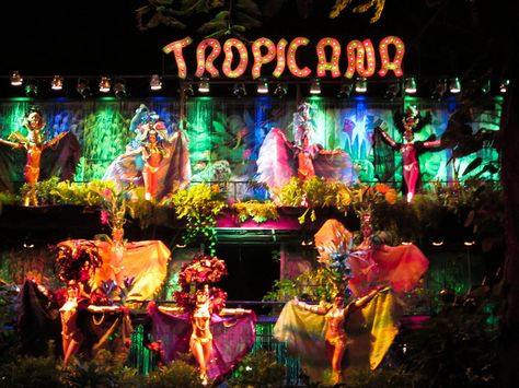 Tropicana Club in Havana Tropicana Cuba Havana Nights, Tropicana Club Havana, Cuba Nightlife, Club Tropicana Party, Carribean Carnival Costumes, Havana Nights Theme, Night Life Photography, Havana Nights Party, Club Tropicana