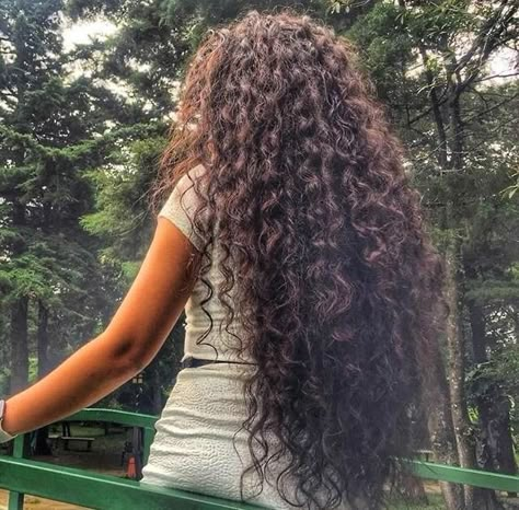 Long Natural Curly Hair, Curly Hair Photos, Big Curly Hair, Curly Haircuts, Beautiful Curly Hair, Long Curls, Black Curly Hair, Curly Hair Inspiration, Curly Girl Hairstyles