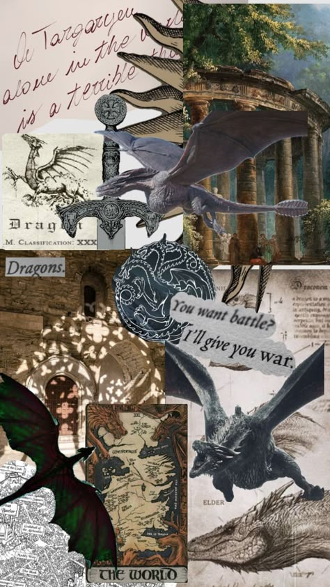 House Targaryen, House Of The Dragon, 1% Wallpaper, House Of Dragons, Cute Patterns Wallpaper, A Dragon, Aesthetic Collage, A Song Of Ice And Fire, Home Wallpaper