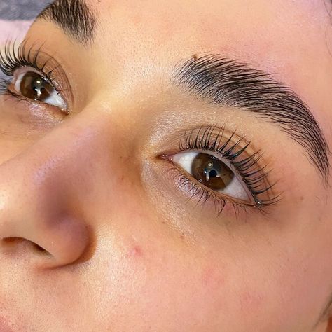 Glshvv Lash Extensions And Brow Lamination, Laminate Eyelashes, Lash Lamination, Types Of Eyelash Extensions, Eyelash Lift And Tint, Eyebrow Lift, Brows And Lashes, Eyelash Tinting, Skin Care Business