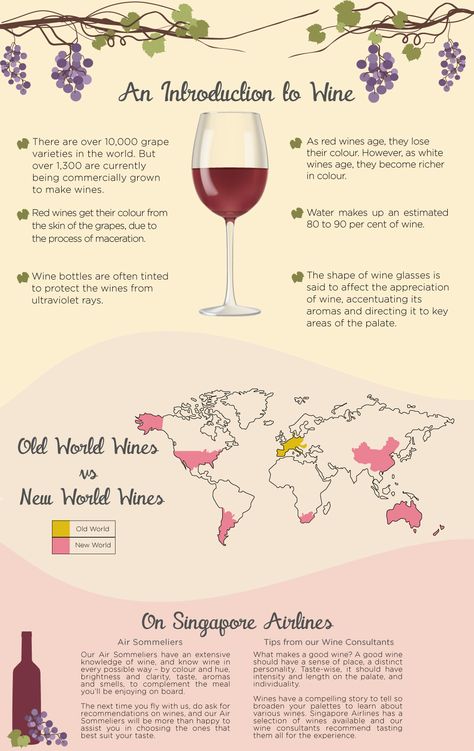 Wine Guide For Beginners, Red Wine Guide, Wine Explained, Red Wines Guide, Wine Differences Types Of, Wine Terms, Food Engineering, Wine Etiquette, Wine Facts