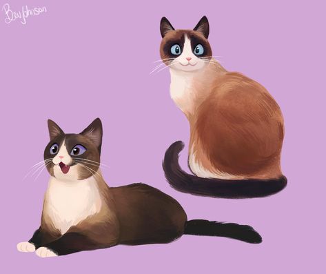 Bev Johnson, Snowshoe Cat, Kitten Drawing, Doodles Art, Realistic Pencil Drawings, Cute Cat Illustration, Art Drawing Sketch, Nature Art Drawings, Cat Character