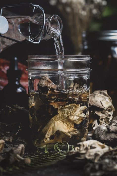 Tincture Photoshoot, Mushroom Apothecary, Lions Mane Benefits, Voodoo Magic, Herbal Health, Vegetable Scraps, Turkey Tail Mushroom, Mushroom Broth, Maitake Mushroom