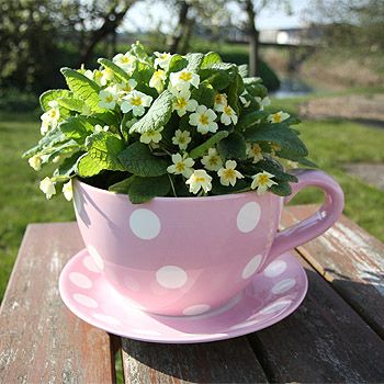 Hello there teacup flowerpot, won't you please join me in my garden? Strawberry Fool, Teacup Plants, Teacup Planter, Tea Cup Planter, Ideas Para Decorar Jardines, Teacup Flowers, Coffee Cups Diy, Strawberry Plant, Creative Napkins