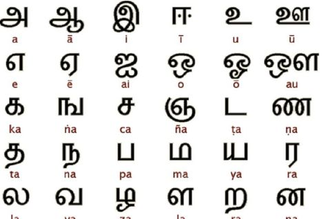 Tamil Words, Tamil Letters, Letter Writing For Kids, Connecting Words, Chinese Alphabet, Tamil Language, Photo Album Quote, Language Worksheets, Ribbon Craft