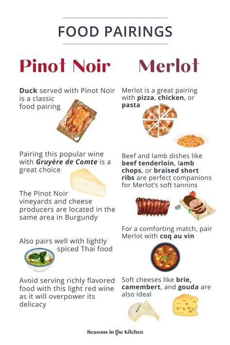 From red meats to lighter dishes, find the best foods to pair with Pinot Noir and Merlot. Pop over to our site to learn more! Alcohol Pairings, Pinot Noir Food Pairing, Wine App, Pinot Noir Grapes, Wine Variety, Grape Uses, Wine Recommendations, Food Boards, Merlot Wine