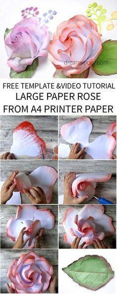 DIY large roses from plain printer paper for your event backdrop with my full video tutorial and FREE template. #giant rose #large rose #rose tutorial Rose Template, Diy Fleur, Giant Roses, Diy Flores, Fleurs Diy, Large Paper Flowers, Flower Paper, Event Backdrop, Paper Flower Backdrop