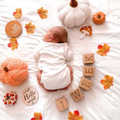 Pumpkin Newborn Photoshoot, Fall Photo Shoot With Newborn, Autumn Theme Nursery, Newborn Baby Fall Photoshoot, Newborn In Pumpkin, Newborn Pumpkin Photoshoot, Baby Autumn Photoshoot, Fall 1 Month Baby Pictures, Fall Baby Monthly Pictures