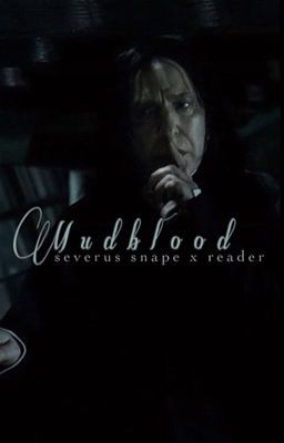 Snape X Reader, Severus Snape Hermione Granger, Snape And Hermione, The Affair, Professor Snape, Sleep Early, Cedric Diggory, Starting School, Reading Stories