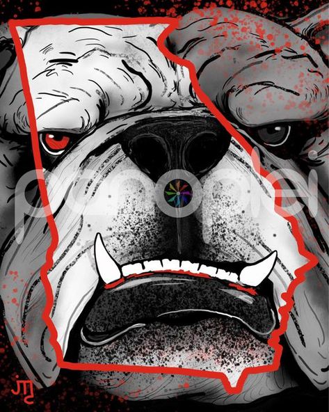 Georgia Bulldog Mascot, College Football Art, Bulldog Wallpaper, Uga Football, Uga Bulldogs, Ga Bulldogs, Georgia Dawgs, Georgia Bulldogs Football, Georgia College