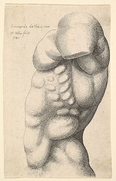 Wenceslaus Hollar | Male Torso from the Side | The Met Wenceslaus Hollar, Side View Drawing, Man Anatomy, Lower Back Pain Exercises, Eye Drawing Tutorials, Male Torso, Back Pain Exercises, Anatomy Drawing, Metropolitan Museum Of Art