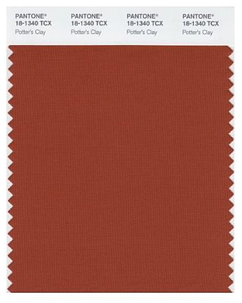 Pantone Potter's Clay Terracotta Color Palette, Peach Echo, Pantone 2016, Pantone Swatches, Potters Clay, Color Pantone, Soft Autumn, Red Clay, Men Shirt