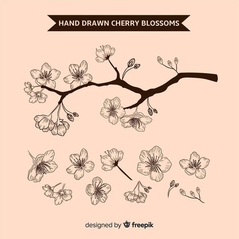 Hand drawn cherry blossom branch backgro... | Free Vector #Freepik #freevector #background #flower #floral #tree Drawings To Copy, Floral Drawings, Wood Resin Table, Floral Tree, Blossom Branch, Background Flower, Cherry Blossom Branch, Floral Drawing, Psd Icon