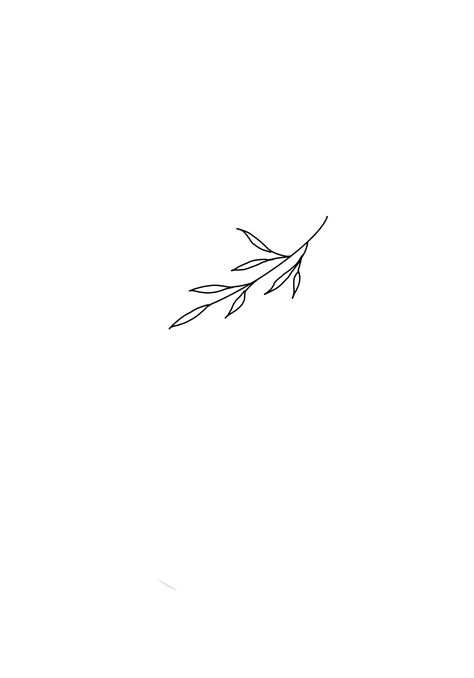 Ivy And Stars Tattoo, Sage Tattoo Simple, Olive Branch Tattoo Finger, Ivy Branch Tattoo, Ck Tattoo, Olive Branch Drawing, Olive Tree Tattoos, Olive Tattoo, Ivy Tattoo