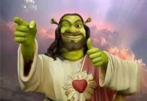 Shrek Funny, Shrek Memes, Weird Images, Funny Profile, Funny Profile Pictures, Fb Memes, Meme Faces, Shrek, Wallpaper Pc