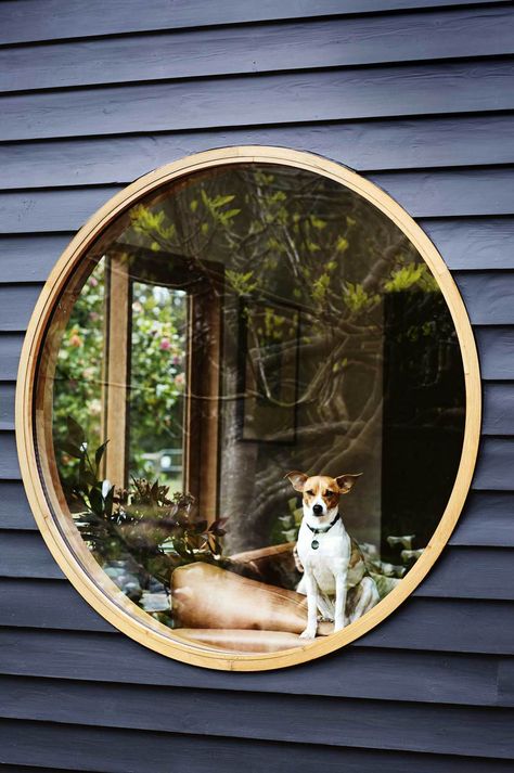 Harry enjoys views of the garden from the round window in the living room | Photography: Sharyn Cairns Circle Window Exterior, Timber Extension, Australian Farmhouse, Circle Window, Dog Window, Porthole Window, Dog Garden, Round Window, Timber Veneer