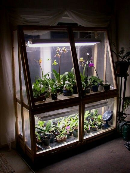 Orchid grow box Serre Diy, Wardian Case, Mini Orquideas, Indoor Greenhouse, Home Greenhouse, Small Greenhouse, Greenhouse Plans, Mini Greenhouse, Diy Greenhouse