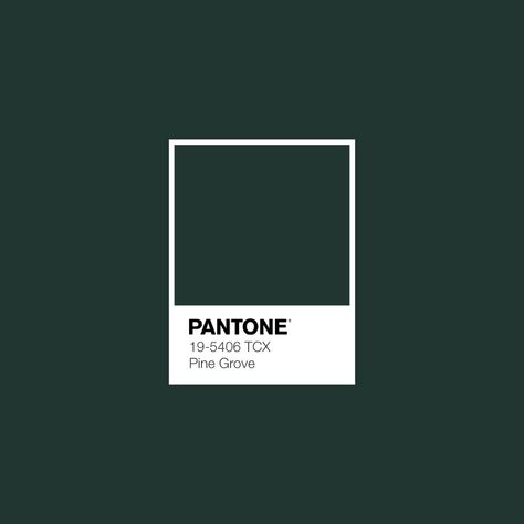 Download Free Adobe Illustrator Palette in .ase • #pantone #pantonegreen #pantonetrends #colortrend #fallcolors #autumncolor • Weathered Teak, Toasted Almond, Sagebrush Green, Russet Orange, Pine Groove, Pantone Palette, Pantone Color, Pantone, Color Trend, Color Scheme, Color Palette • Pine Grove Green, Pantone Green, Pantone Swatches, Pantone Palette, Pantone Colour Palettes, Orange Color Palettes, Green Colour Palette, Fall Color Palette, Design Textile