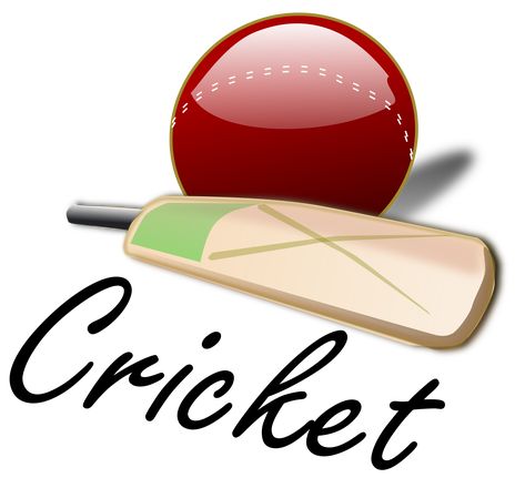 Live Cricket Streaming, Cricket (sports), Cricket Games, T20 Cricket, Cricket Club, Cricket Bat, Cricket Sport, Live Cricket, Cricket Match