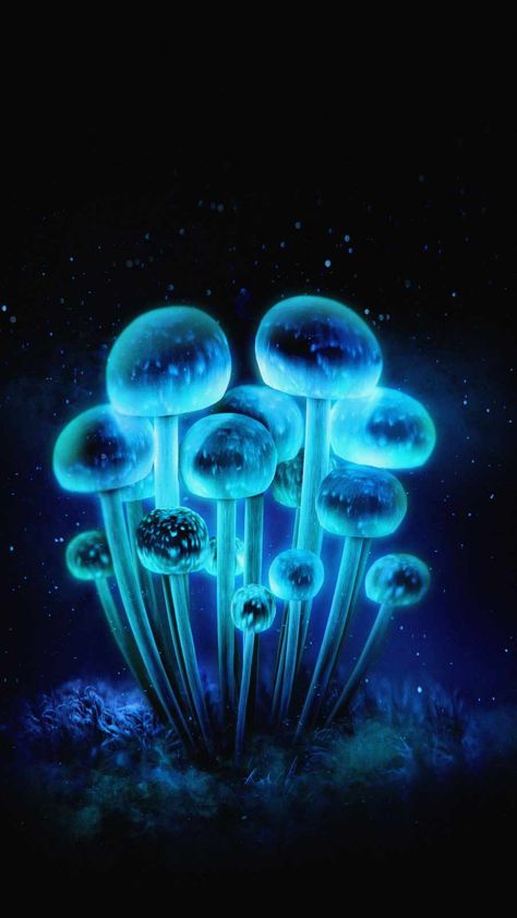 Neon Mushrooms - iPhone Wallpapers : iPhone Wallpapers Neon Mushroom, Background Eraser, Glowing Mushrooms, Mushroom Images, Mushroom Wallpaper, Iphone Wallpaper Kawaii, Unicorn Pictures, Ipad Background, Wallpaper Stickers